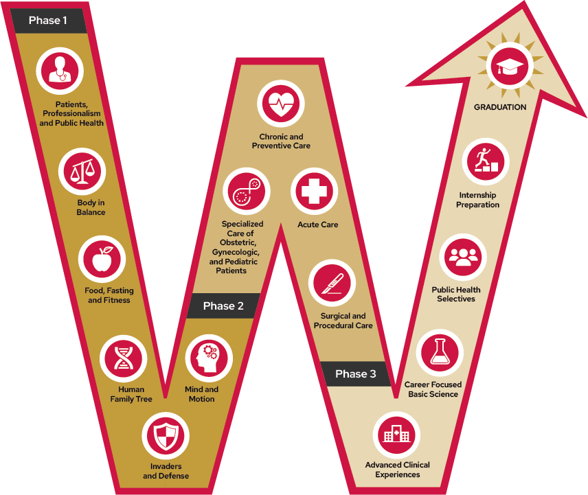 Features of phase 1 of the ForWard curriculum are: patients, professionalism and public health, body in balance, food, fasting and fitness, human family tree, invaders and defense and mind in motion. Phase 2 includes care across the life cycle, chronic and preventative care, acute care and surgical and procedural care. Phase 3 includes advanced clinical experiences, career focused basic science, public health selectives, internship preparation, and finally, graduation.