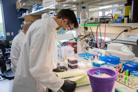 Students working in lab