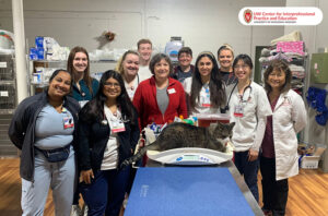 Smiling students and faculty standing around a cat