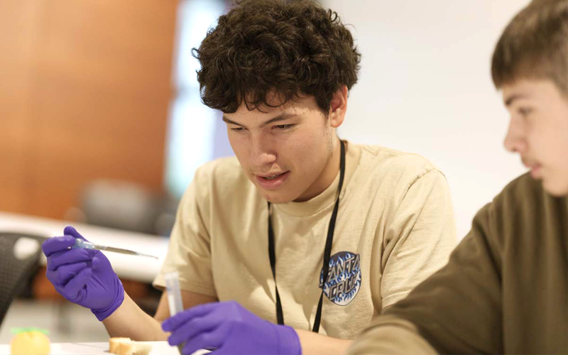 Students test slices of bread for the presence of sugar