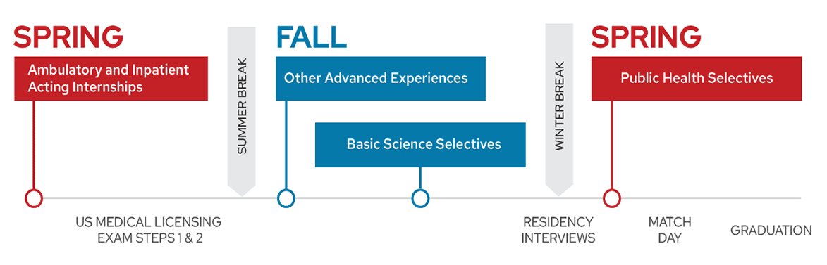 In Phase 3 of the ForWard Curriculum, Ambulatory Acting Internships, Basic Science and Public Health Selectives, and other Advanced Experiences are available all three semesters and can be completed in any order. Residency interviews take place over winter break between fall and the second spring semester of Phase 3.