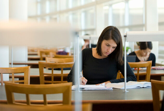 A student studies in a library environment where large windows let in a lot of daylight