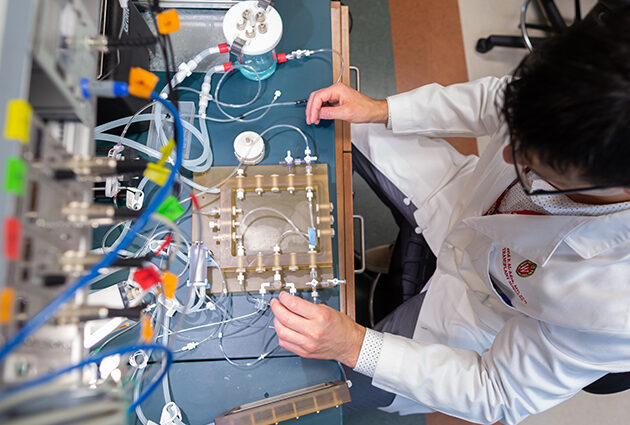 A scientist working in a lab