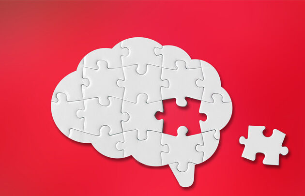 Jigsaw puzzle of a brain