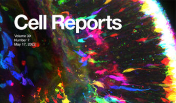 The May 17, 2022 cover image of the journal Cell Reports