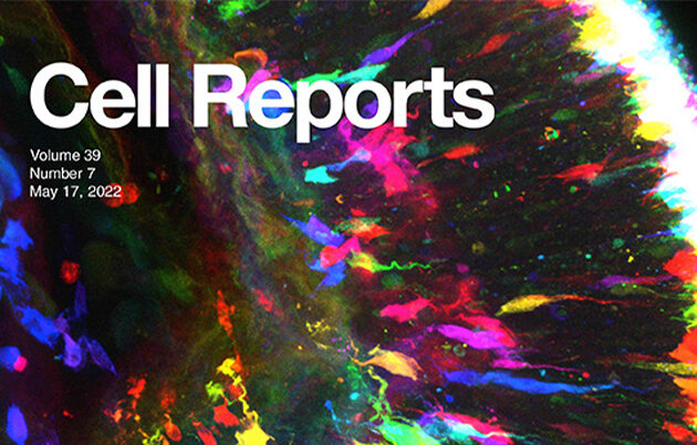 The May 17, 2022 cover image of the journal Cell Reports