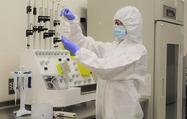 A lab worker growing cells to treat blood diseases