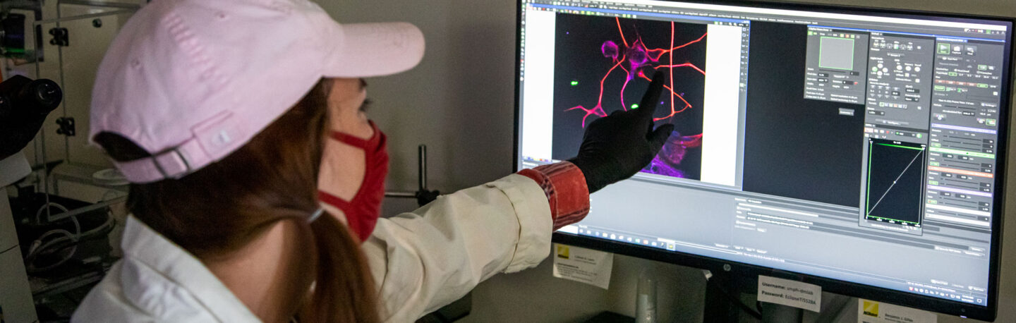 MSTP student points to an image on a computer monitor