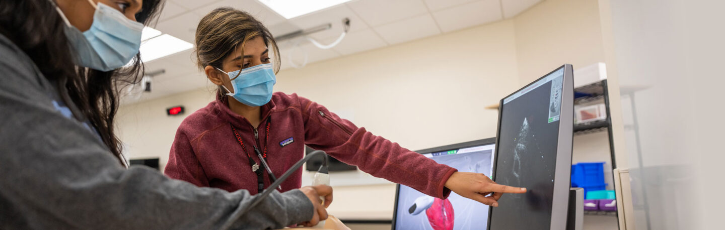 Residents learning ultrasound techniques on clinical simulation mannequins