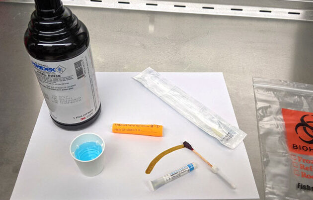 A swab and other lab supplies