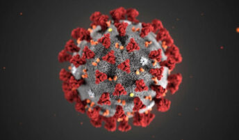 Coronavirus microscopic visualization