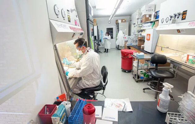 A scientist working in a lab