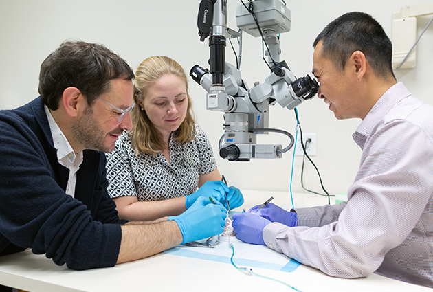 Dr. Poore (left) and Dr. Zeng (right) teaching microsurgery techniques