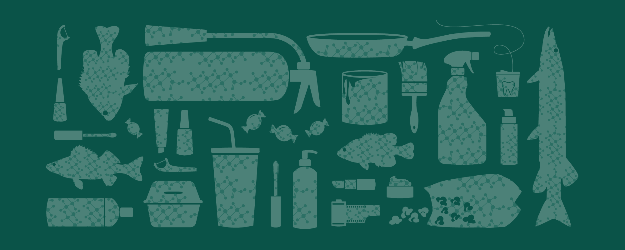 Illustration of products containing PFAS and freshwater fish, illustration by Beth Atkinson