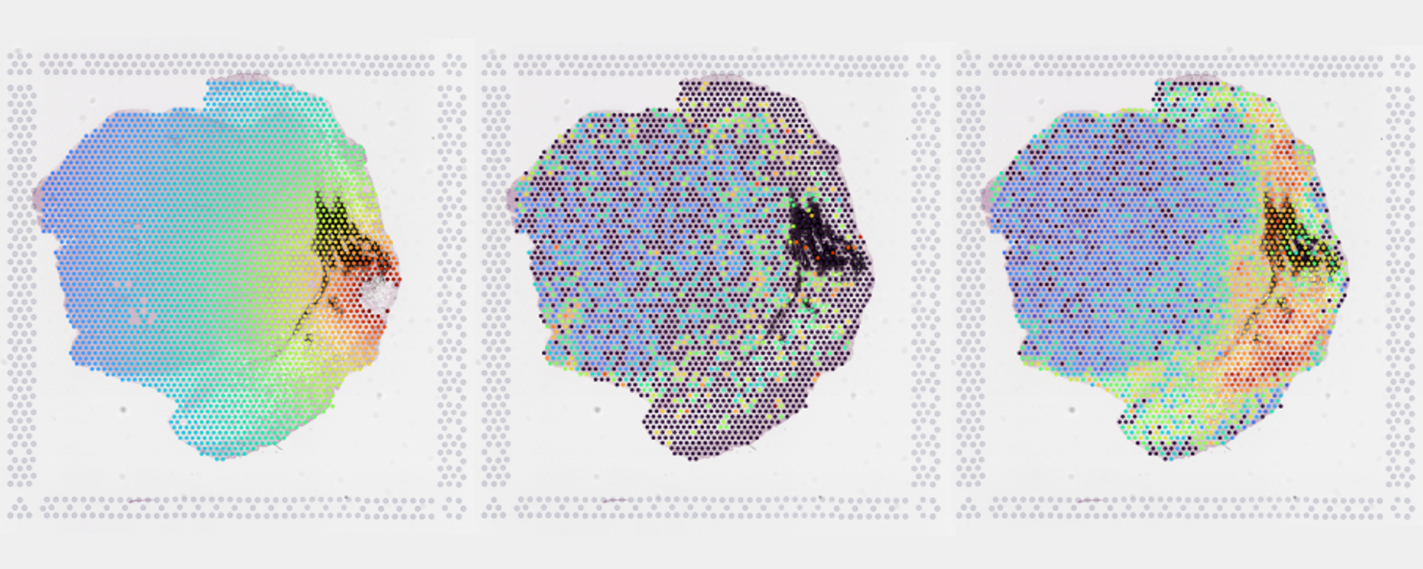 imaging of variable radiation dosage and variable tissue response