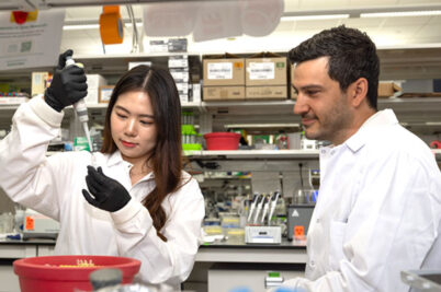 Mia Wang and Romeo Blanc perform assays
