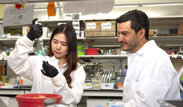 Mia Wang and Romeo Blanc perform assays