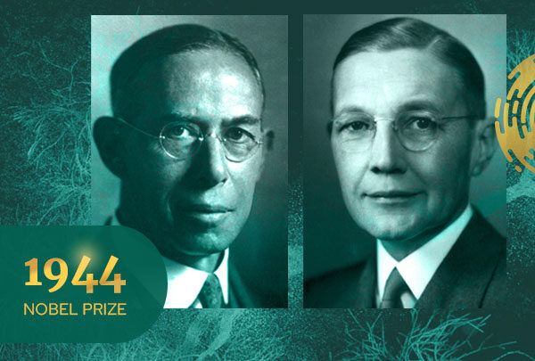 Joseph Erlanger and Herbert Gasser