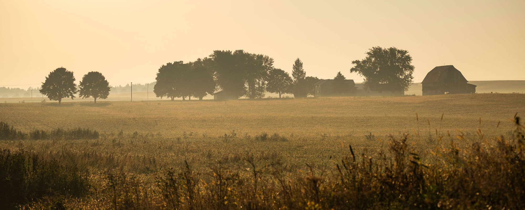 Rural Wisconsin farmland - Photo by Jeff Miller / UW–Madison