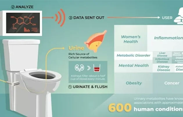 smart toilet system for health monitoring