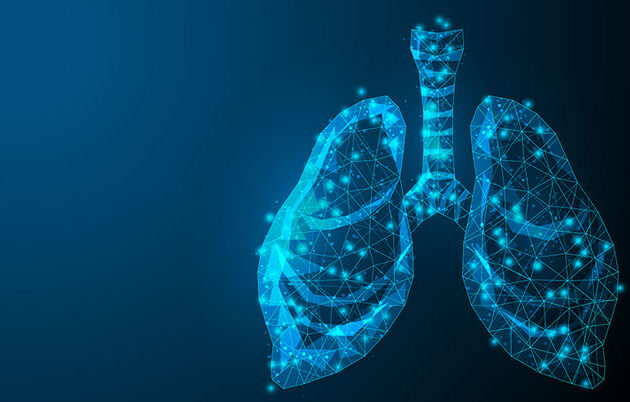 illustration of lungs