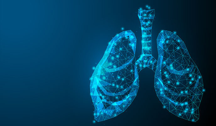 illustration of lungs